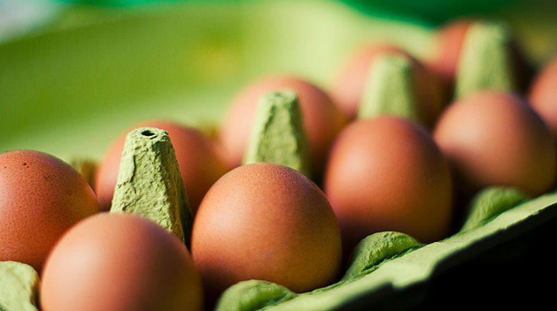 Cage-Free Eggs Coming to Dollar Stores