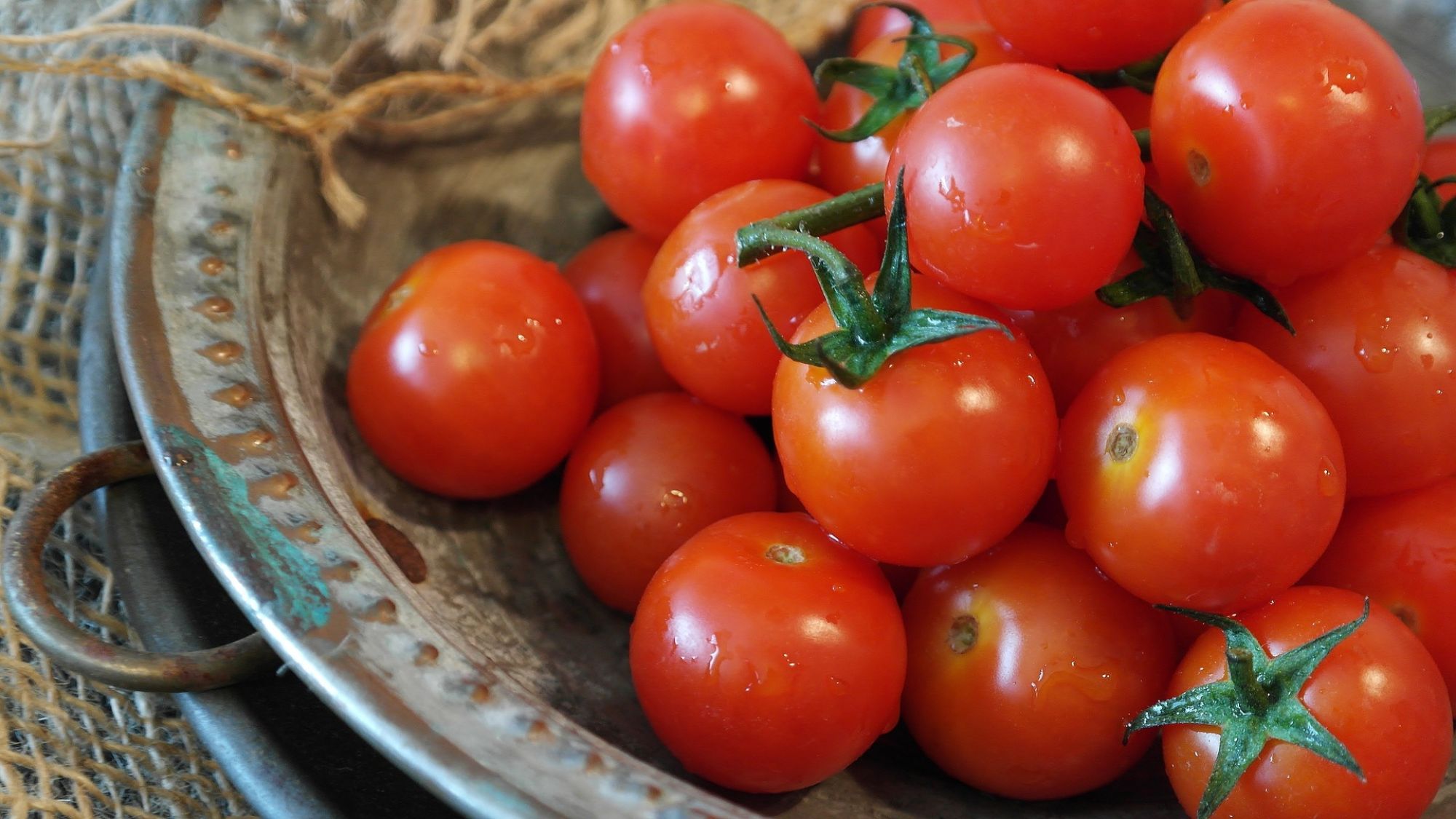 Should You Put Tomatoes in the Refrigerator?