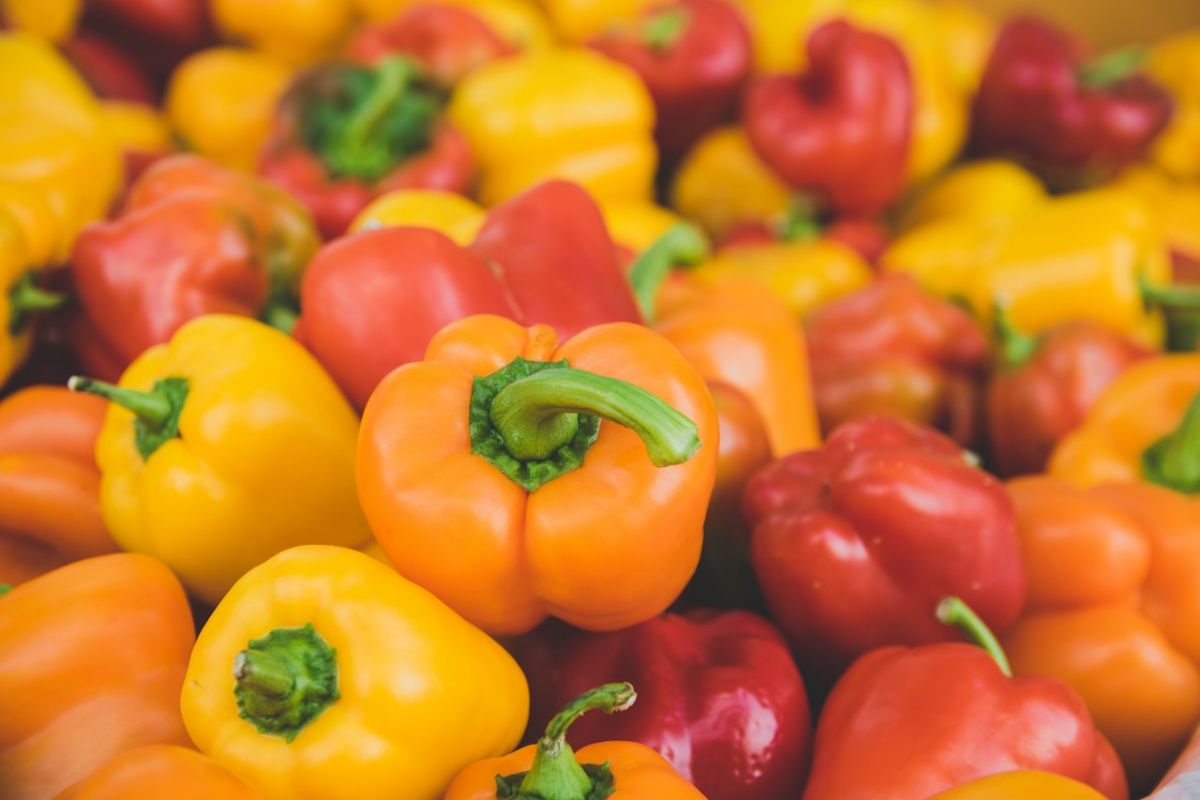 Why are Bell Peppers Different Colors?