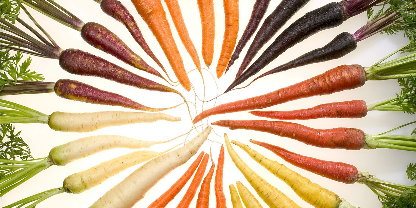 Why Are Carrots Orange? The Dutch Royal Legend and the Real Story