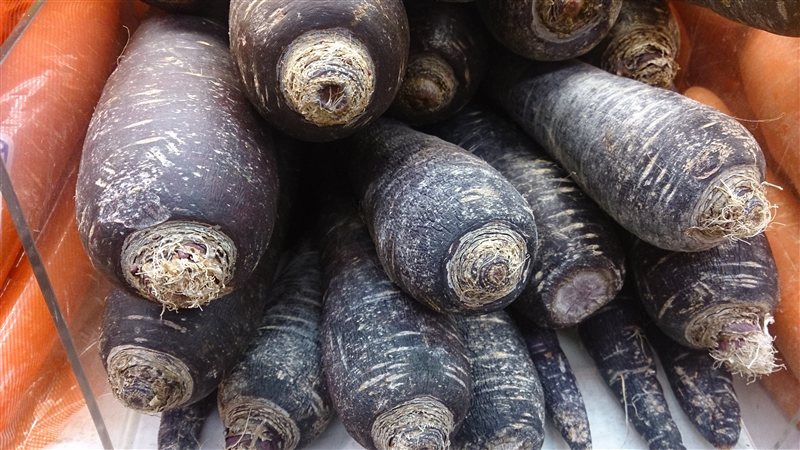 A pile of purple carrots next to orange ones
