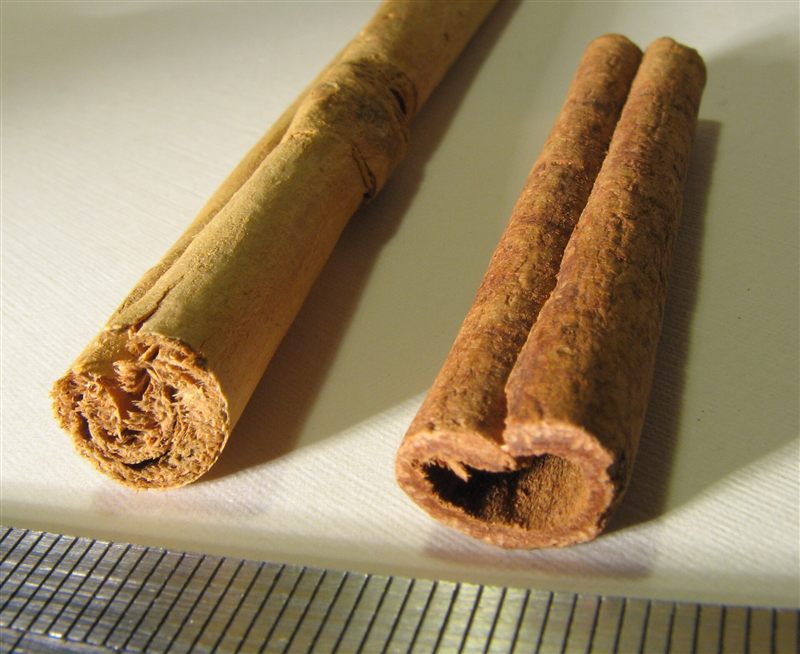 Two cinnamon sticks side by side, one with a tightly layered cut end and one hollow with a single thick roll