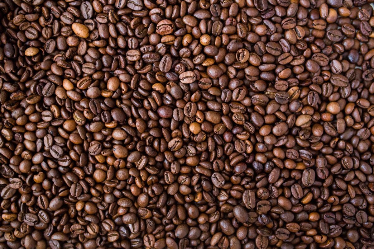 Should You Keep Coffee in the Freezer?