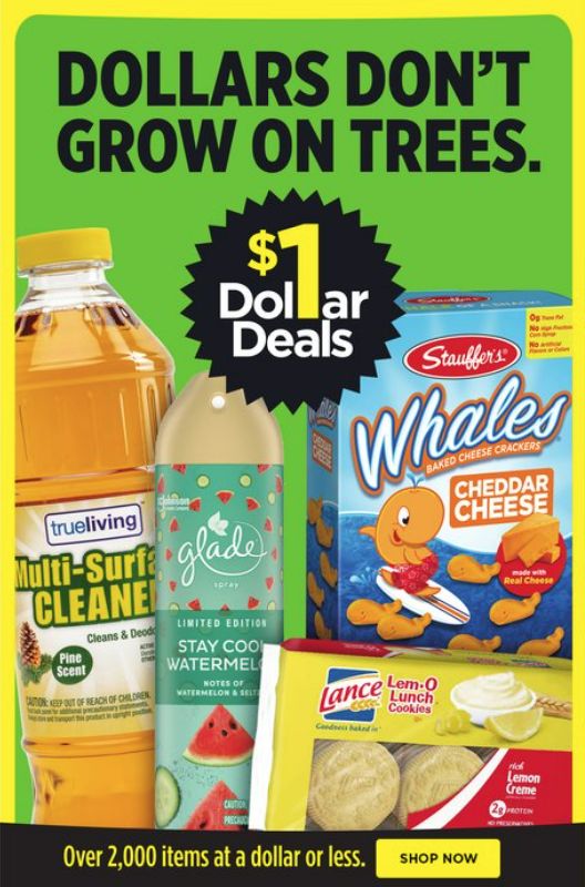 Dollar General Dollars Don't Grow on Trees