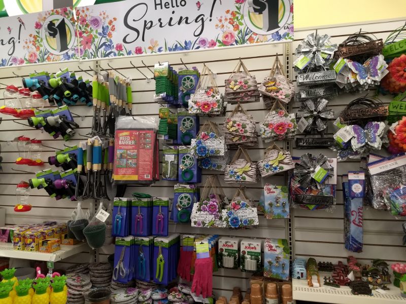 Dollar Tree Gardening Supplies