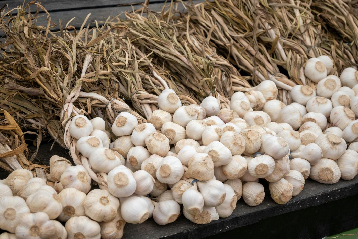 7 Surprising Facts About Garlic, From History to the Garden