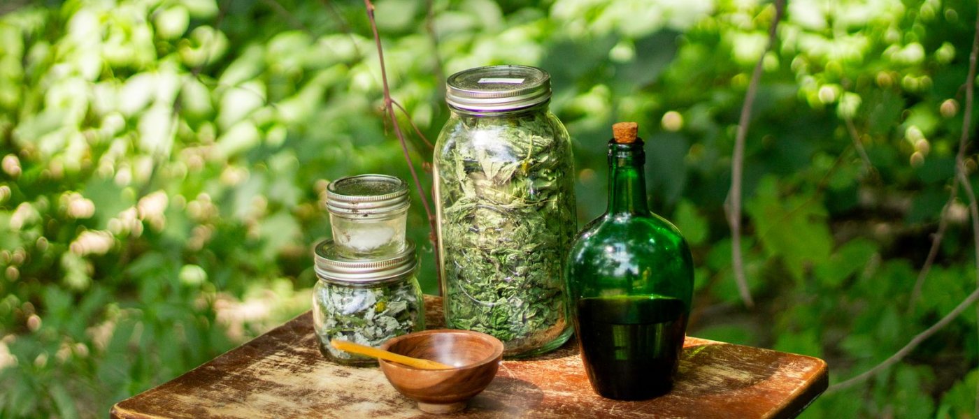 6 Things to Know About Goldenseal, the Yellow-Rooted Woodland Herb With a Long History