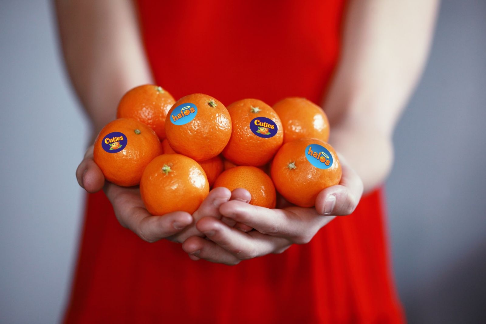 What's the Difference Between Cuties, Halos, and Delite Mandarins?