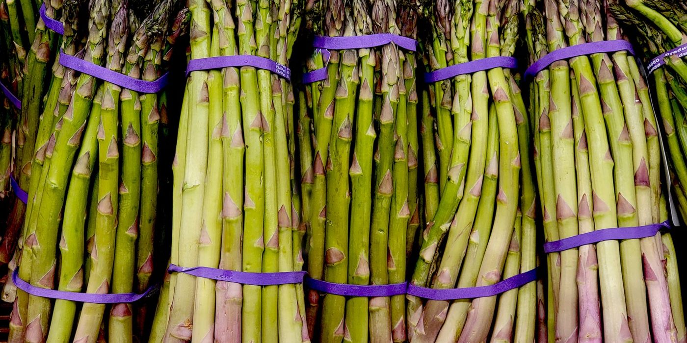 Plant Once, Harvest for Years: Perennial Vegetables to Try