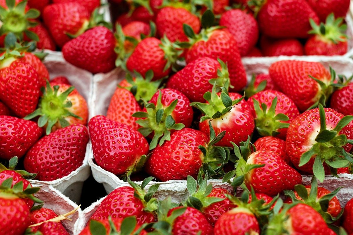 Strawberries Aren't Actually Berries 🍓